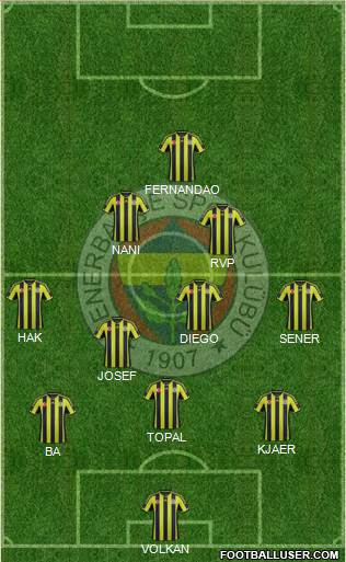 Fenerbahçe SK Formation 2015