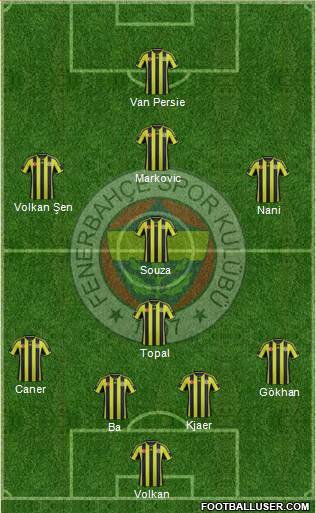 Fenerbahçe SK Formation 2015