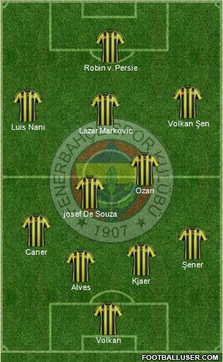 Fenerbahçe SK Formation 2015