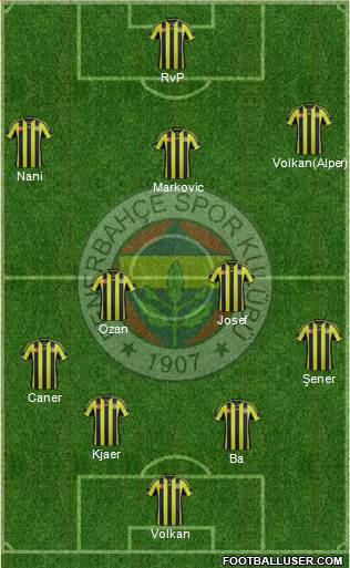 Fenerbahçe SK Formation 2015