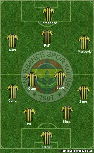 Fenerbahçe SK Formation 2015