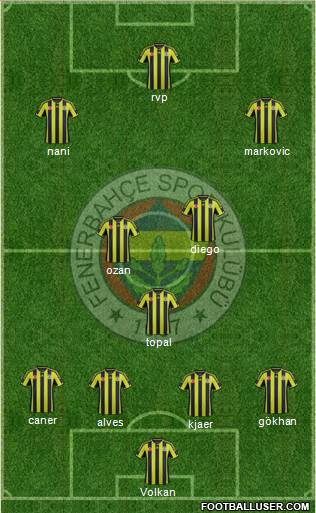 Fenerbahçe SK Formation 2015