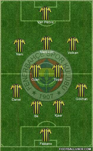 Fenerbahçe SK Formation 2015