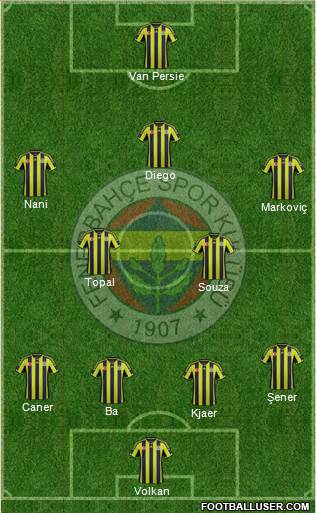 Fenerbahçe SK Formation 2015
