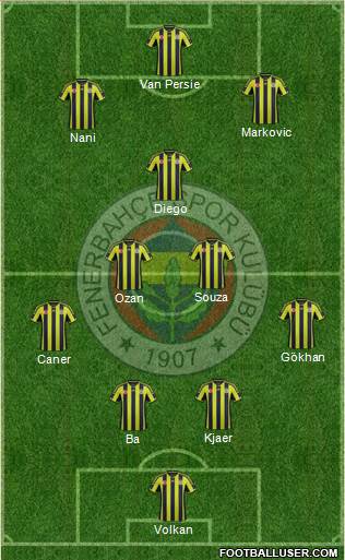 Fenerbahçe SK Formation 2015