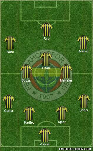 Fenerbahçe SK Formation 2015