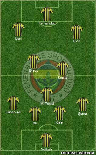 Fenerbahçe SK Formation 2015