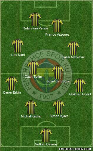 Fenerbahçe SK Formation 2015