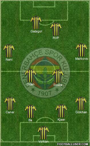 Fenerbahçe SK Formation 2015