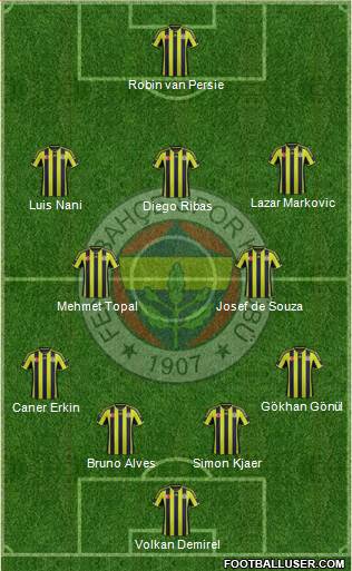 Fenerbahçe SK Formation 2015