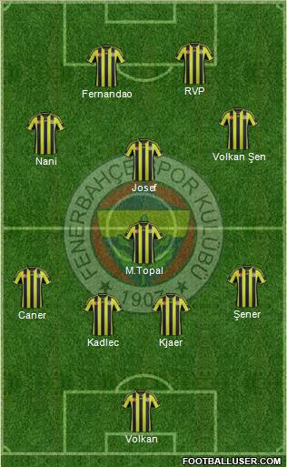 Fenerbahçe SK Formation 2015