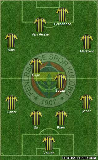 Fenerbahçe SK Formation 2015