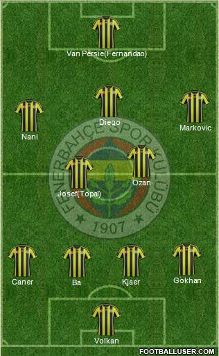 Fenerbahçe SK Formation 2015