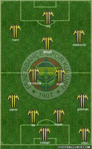 Fenerbahçe SK Formation 2015