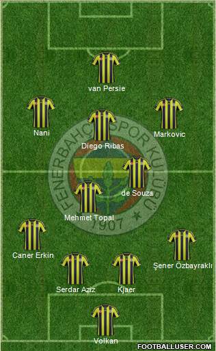 Fenerbahçe SK Formation 2015
