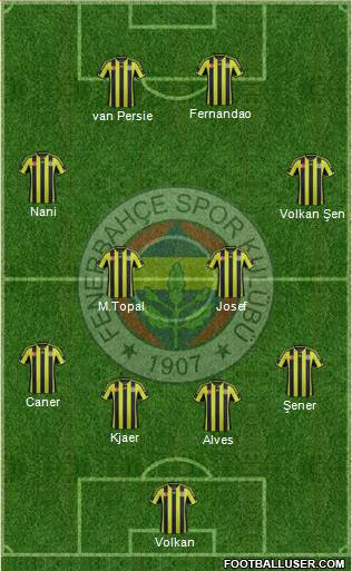 Fenerbahçe SK Formation 2015