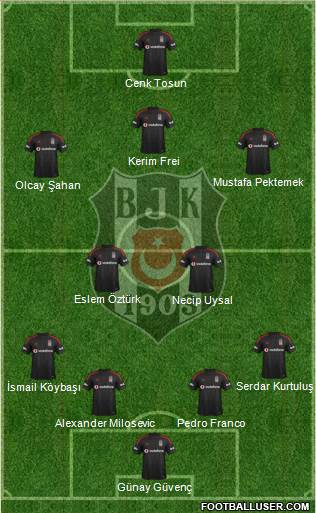 Besiktas JK Formation 2015