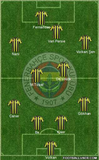 Fenerbahçe SK Formation 2015