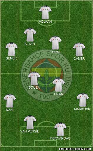 Fenerbahçe SK Formation 2015