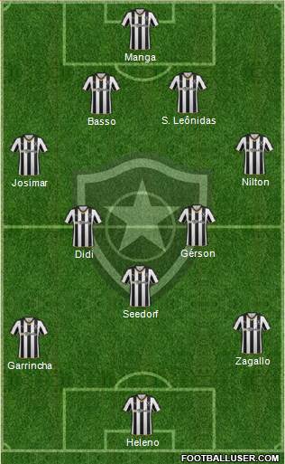Botafogo FR Formation 2015