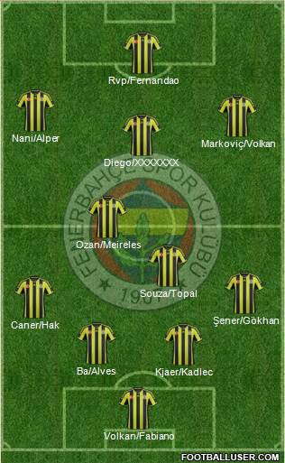 Fenerbahçe SK Formation 2015