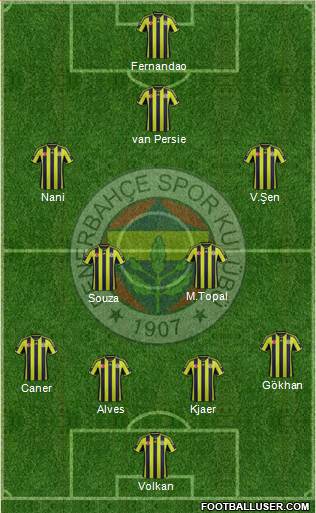 Fenerbahçe SK Formation 2015