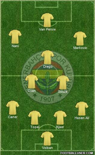 Fenerbahçe SK Formation 2015