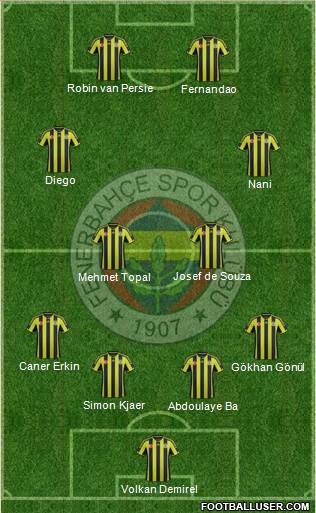 Fenerbahçe SK Formation 2015