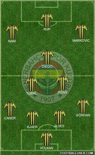 Fenerbahçe SK Formation 2015