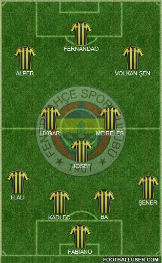 Fenerbahçe SK Formation 2015