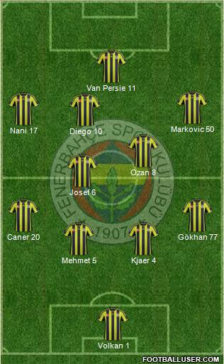 Fenerbahçe SK Formation 2015