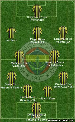 Fenerbahçe SK Formation 2015