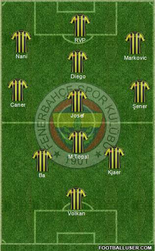 Fenerbahçe SK Formation 2015