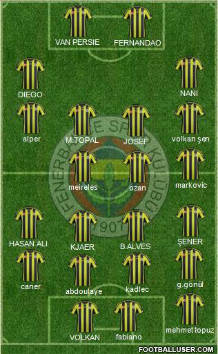 Fenerbahçe SK Formation 2015