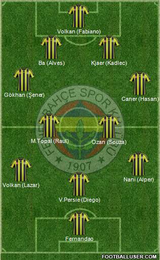 Fenerbahçe SK Formation 2015