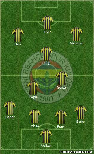 Fenerbahçe SK Formation 2015