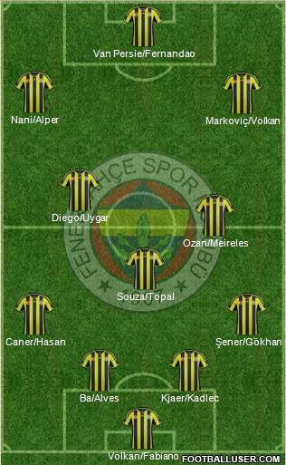 Fenerbahçe SK Formation 2015