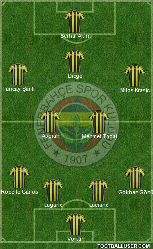 Fenerbahçe SK Formation 2015