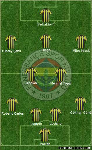 Fenerbahçe SK Formation 2015