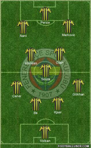 Fenerbahçe SK Formation 2015