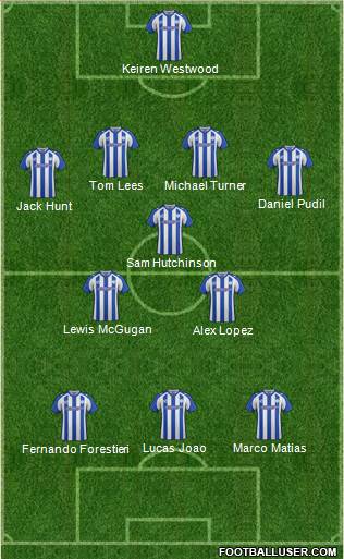 Sheffield Wednesday Formation 2015