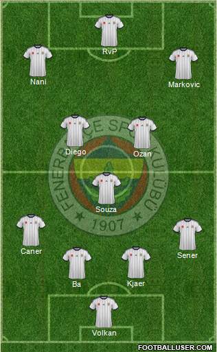 Fenerbahçe SK Formation 2015