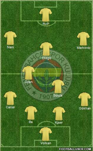 Fenerbahçe SK Formation 2015