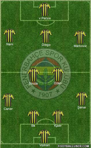 Fenerbahçe SK Formation 2015