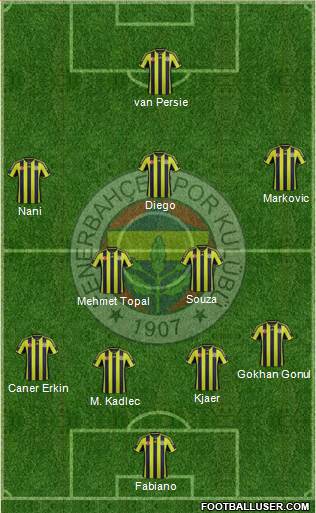 Fenerbahçe SK Formation 2015