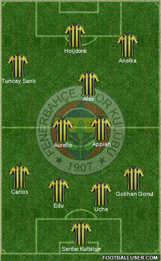 Fenerbahçe SK Formation 2015