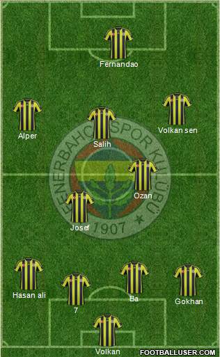 Fenerbahçe SK Formation 2015