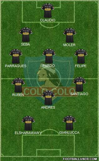 CSD Colo Colo Formation 2015