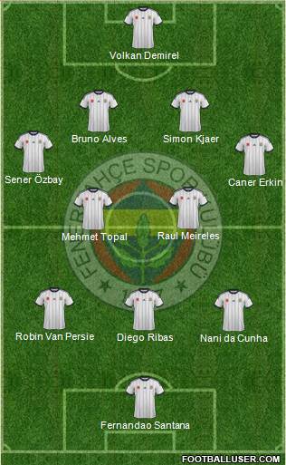 Fenerbahçe SK Formation 2015