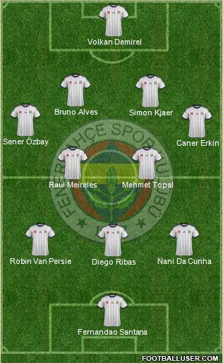 Fenerbahçe SK Formation 2015